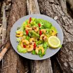 Crevettes des Palaos 0
