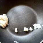 Crevettes des Palaos 0001 a