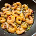 Crevettes des Palaos 0008