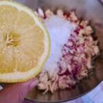 Poulet haché à la noix de coco 0010