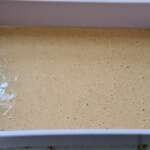 Sandwich cubain 0006