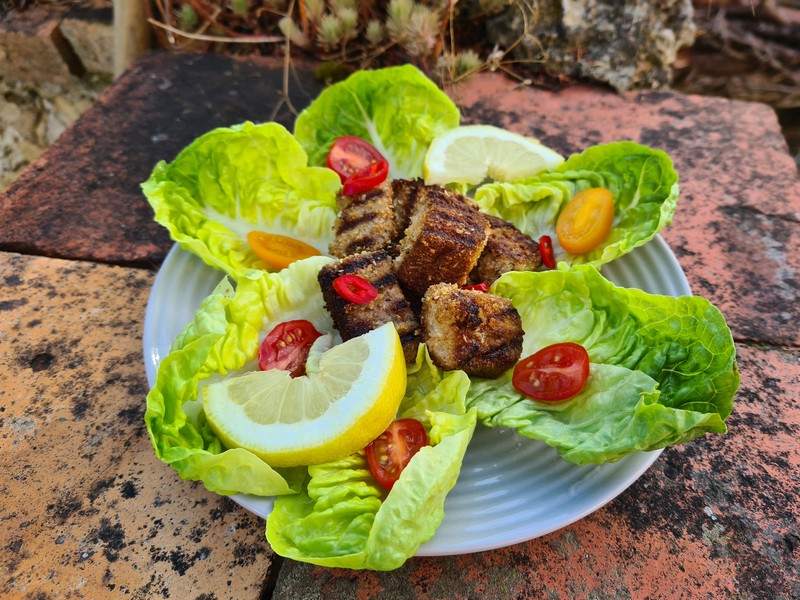 Recettes bahaméennes thon grillé à la noix de coco