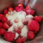 Glace aux yaourt de brebis et fraises 0001