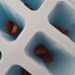 Glace aux yaourt de brebis et fraises 0004