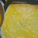 Omelette japonaise 0008