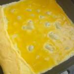 Omelette japonaise 0011