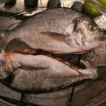 Poisson à la congolaise 0008