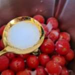 Soupe et glace de tomate au basilic 0008