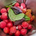 Soupe et glace de tomate au basilic 0011