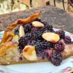 Tarte rustique aux mûres sans sucre0