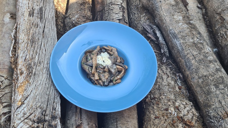 recettes suisses veau à la crème aux champignons