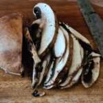 Veau aux champignons à la crème 0008