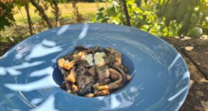 Veau à la crème et champignons (Suisse)