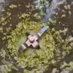 boisson citron vert et chia 0004