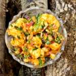Ceviche de crevettes hondurien 9
