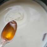 Crème vanille cannelle sans sucre 0005