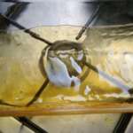Flan au caramel sans produit laitier0004b