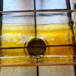 Flan coco sans sucre 3