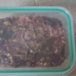 Galbi 0013