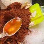 Truffes sans sucre 0004