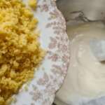 Yaourt au couscous 0010