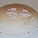 Confit de canard 0009