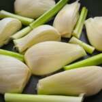 Fenouils et oignon caramélisés sur crème de feta0003