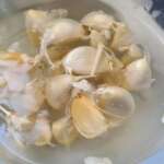 Poulet à l&rsquo;ail 0001