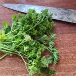 Salade de mortadelle 0001