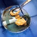 Andouillette vinaigrette 0002