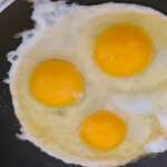 Oeufs brouillés au hareng 0005