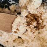 Porridge à la noix de coco sans sucre 0002