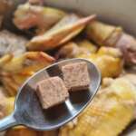 Poulet aux champignons à la normande0017