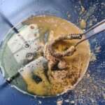 salade auvergnate 0002