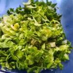 salade auvergnate 0006